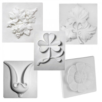 Комплект гипсовых моделей растений  - «globural.ru» - Ивантеевка