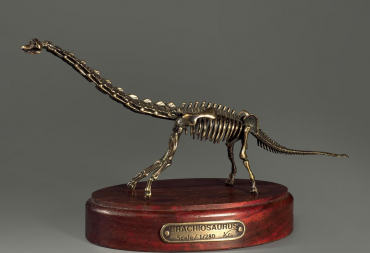 Модель скелета динозавра Brachiosaurus - «globural.ru» - Ивантеевка
