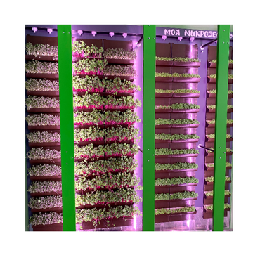 Вертикальная ферма "Моя Микрозелень" комплектация Школьная - «globural.ru» - Ивантеевка