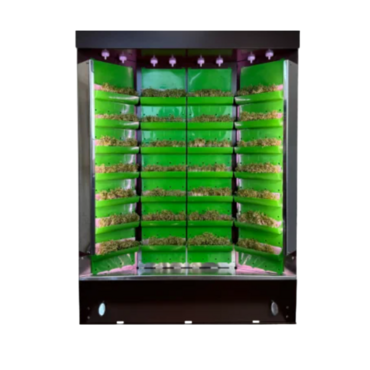 Вертикальная ферма "Моя Микрозелень" комплектация "Театро настольная" - «globural.ru» - Ивантеевка