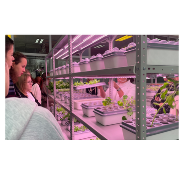 АГРОпространство для ВУЗ/СПО - «globural.ru» - Ивантеевка