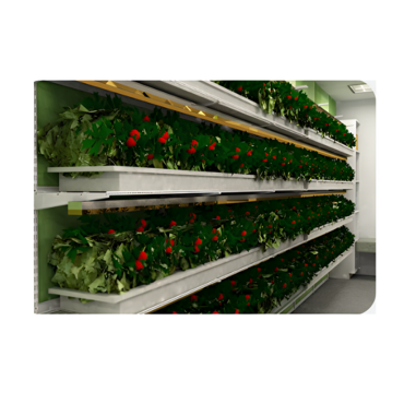 Стеллаж для выращивания клубники "Стена" - «globural.ru» - Ивантеевка