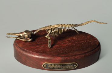 Модель скелета ихтиозавра Ichthyosaurus - «globural.ru» - Ивантеевка