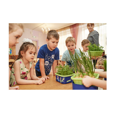 Обучающий комплект экологической направленности "Сити-фермер 2.0 Детский сад" 20 человек - «globural.ru» - Ивантеевка