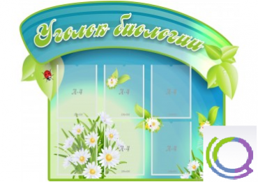 Стенд "Уголок биологии" - «globural.ru» - Ивантеевка