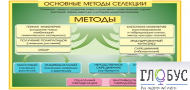 Стенд "Методы селекции и биотехнологии" - «globural.ru» - Ивантеевка
