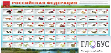 Стенд "Красная книга РФ" - «globural.ru» - Ивантеевка