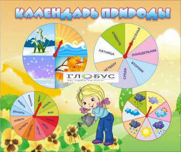 Стенд "Календарь природы" (вариант 1) - «globural.ru» - Ивантеевка