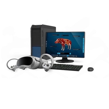 Интерактивный учебный комплекс «Анатомия Свиньи» - «globural.ru» - Ивантеевка