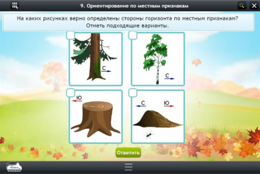 Интерактивные курсы. Окружающий мир 1 класс. Базовый - «globural.ru» - Ивантеевка
