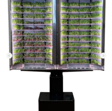 Вертикальная  ферма «Моя микрозелень» комплектация  «Театро настенная» - «globural.ru» - Ивантеевка