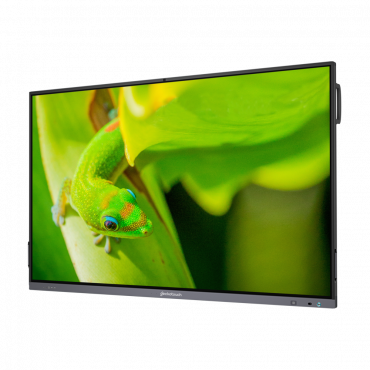 Интерактивный программно-аппаратный комплекс Geckotouch Interactive IP75GT-C в комплекте с настенным креплением - «globural.ru» - Ивантеевка