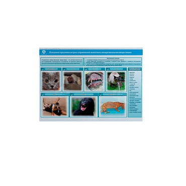 Стенд-планшет светодинамический «Острые отравления животных лекарственными препаратами» - «globural.ru» - Ивантеевка