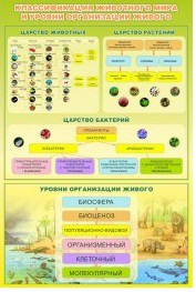 Стенд "Классификация животного мира" - «globural.ru» - Ивантеевка
