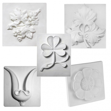 Комплект гипсовых моделей растений  - «globural.ru» - Ивантеевка